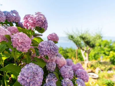 Ferienwohnung für 2 Personen (28 m²) in Vrbnik 3/10
