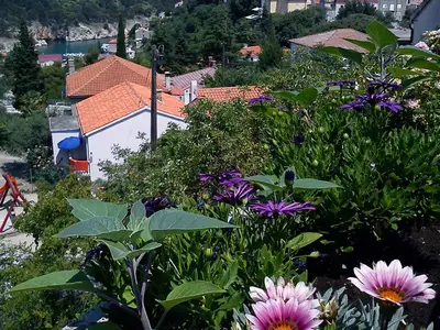 Ferienwohnung für 5 Personen (55 m²) in Vrbnik 2/10