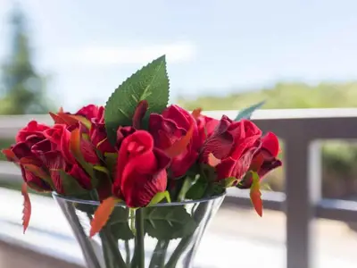 Ferienwohnung für 3 Personen (45 m²) in Vrsar 9/10