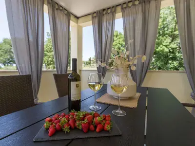 Ferienwohnung für 4 Personen (70 m²) in Vrsar 6/10