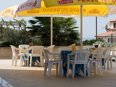 Ferienwohnung für 6 Personen (55 m²) in Vrsar 3/10