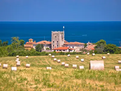 Ferienwohnung für 6 Personen (60 m²) in Vrsar 4/10