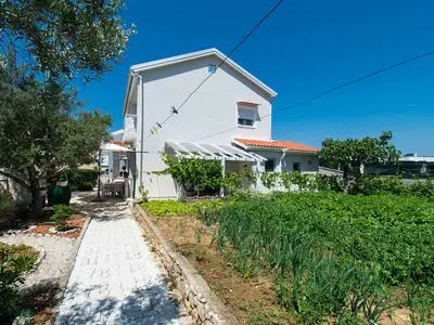 Ferienwohnung für 4 Personen (40 m²) in Vrsi 5/10