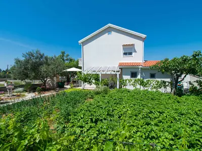 Ferienwohnung für 4 Personen (40 m²) in Vrsi 8/10