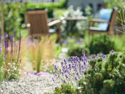 Ferienwohnung für 4 Personen (55 m²) in Waabs 9/10