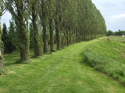Ferienwohnung für 2 Personen (52 m²) in Wachau 8/10