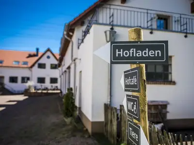 Ferienwohnung für 2 Personen (73 m²) in Wadern 3/10