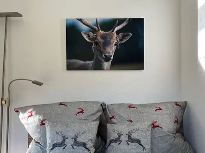 Ferienwohnung für 2 Personen (35 m²) in Wadern 8/10