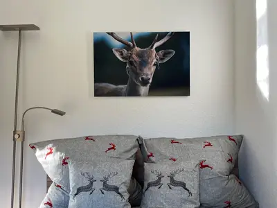 Schlafzimmer 3