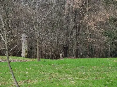 Ferienwohnung für 6 Personen (85 m²) in Wadern 8/10