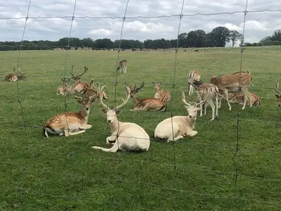 Ferienwohnung für 4 Personen (90 m²) in Wadern 10/10