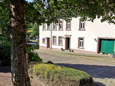 Ferienwohnung für 2 Personen (50 m²) in Wadern 7/10
