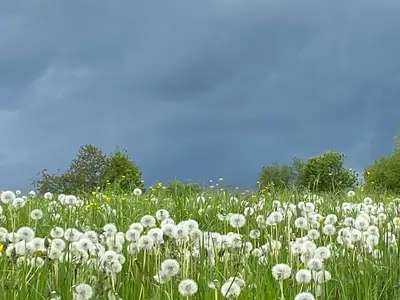 wenn ein Gewitter kommt