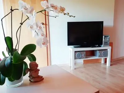 Fernseher mit Stereonalage