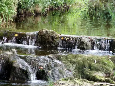 Naturbadestelle