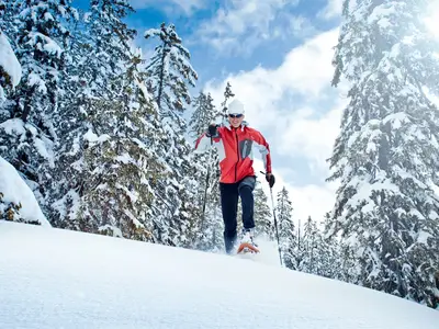AreaWinter1KM