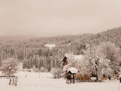 Neuschnee