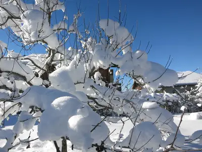 Winter in Wagrain