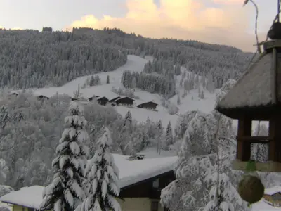 view-Appartement-Wagrain-Haus-Ortsblick-Grafenberg