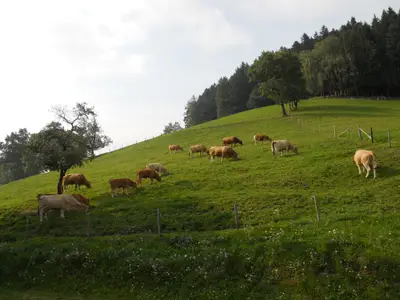 Himbrechtsöd