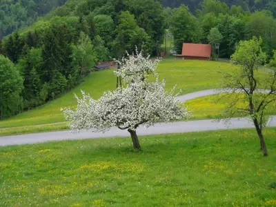 Himbrechtsöd