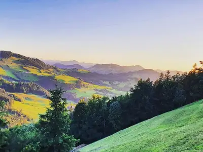 IMG_20220702_205644_850