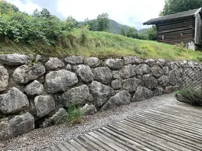 Blick ins Grüne