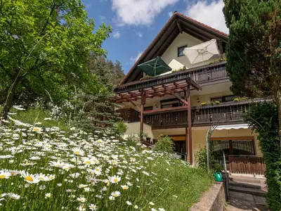 Ferienwohnung für 2 Personen (40 m²) in Waischenfeld 1/10