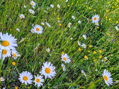 Ferienwohnung für 5 Personen (80 m²) in Waischenfeld 6/10