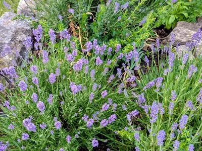 Ferienwohnung für 5 Personen (80 m²) in Waischenfeld 10/10