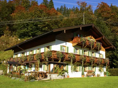 booking (5)