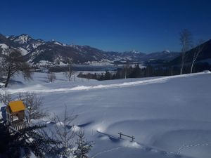 18794459-Ferienwohnung-5-Walchsee-300x225-3