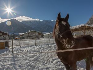 18930289-Ferienwohnung-5-Walchsee-300x225-2