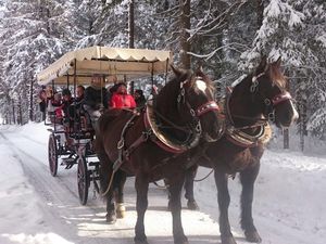 18930289-Ferienwohnung-5-Walchsee-300x225-1