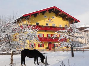 18931855-Ferienwohnung-2-Walchsee-300x225-3