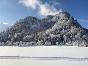 23916811-Ferienwohnung-6-Walchsee-300x225-4