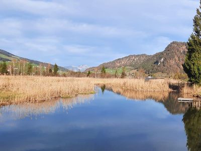 Walchsee Zulauf