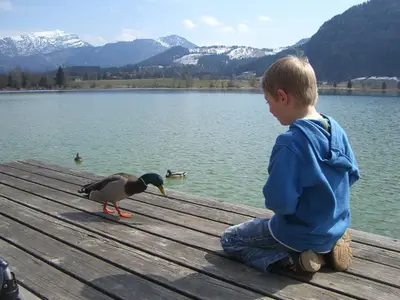 Sommer