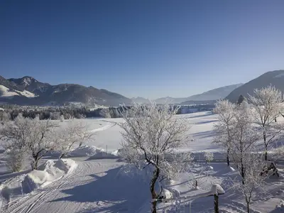 Ausblick auf Loipe und Walchsee