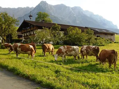 Der Sattlerhof mit dem Zahmen Kaiser