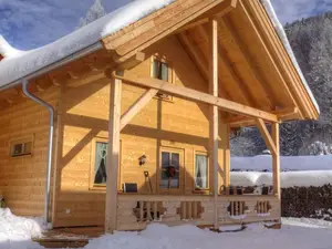 Ferienwohnung für 3 Personen (41 m²) in Walchsee