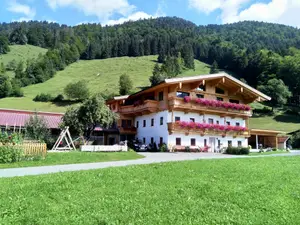 Ferienwohnung für 3 Personen (40 m²) in Walchsee
