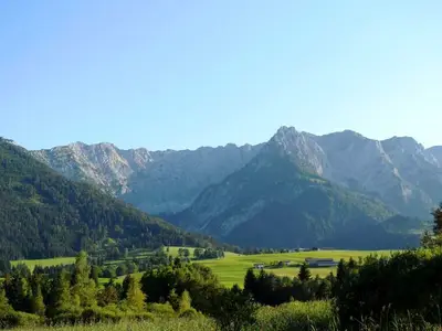 Ferienwohnung für 5 Personen (45 m²) in Walchsee 4/10