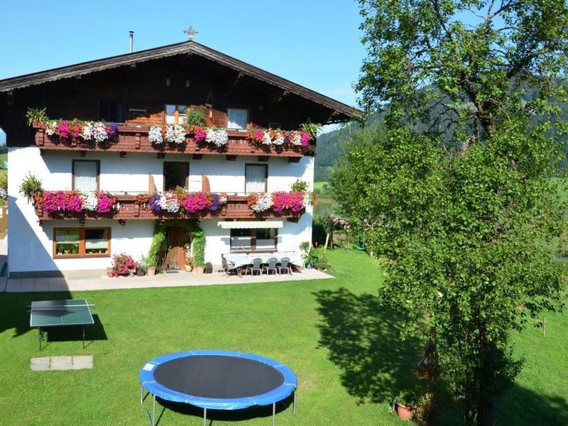 18583208-Ferienwohnung-4-Walchsee-800x600-0