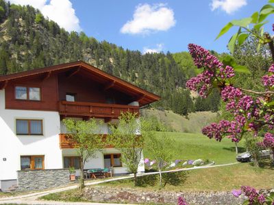 Appartementhaus Auerhof  Walchsee Sommer