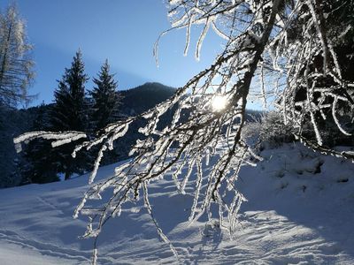 Winterwunderland in Walchsee