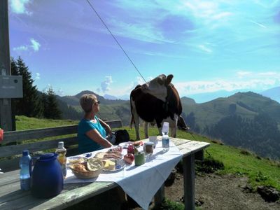 Auf  unserer Alm