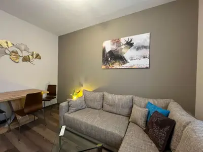Ferienwohnung für 3 Personen (35 m²) in Wald 7/10