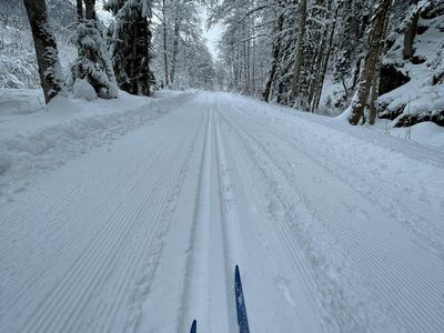 Langlaufen_entlang_der_Alfenz_(c)_Andrea_Fritz_-_A