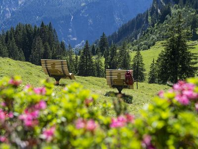 Ruheliegen_am_Stebok-Wäg_(c)_Alex_Kaiser_-_Alpenre